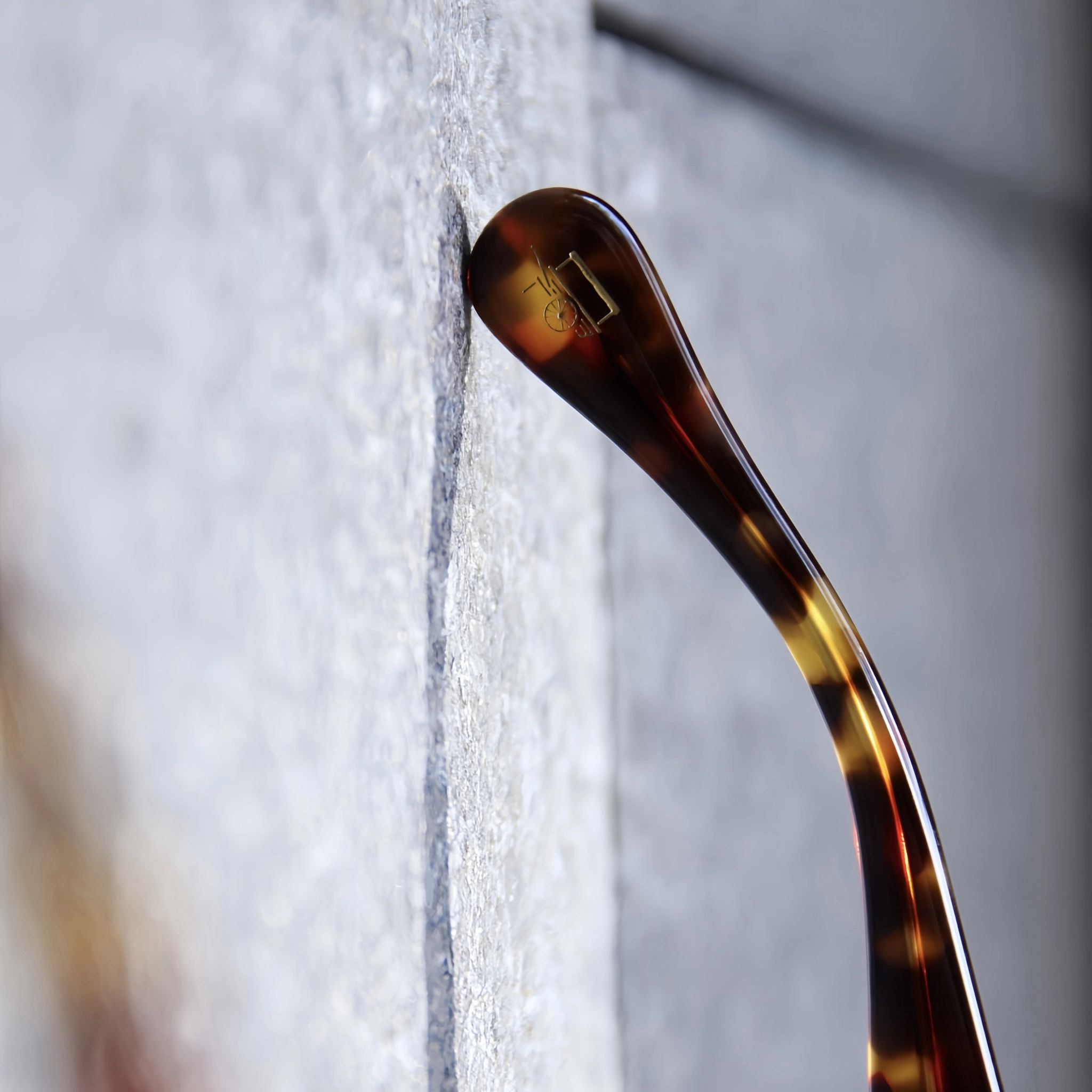 MOSCOT LEMTOSH TORTOISE