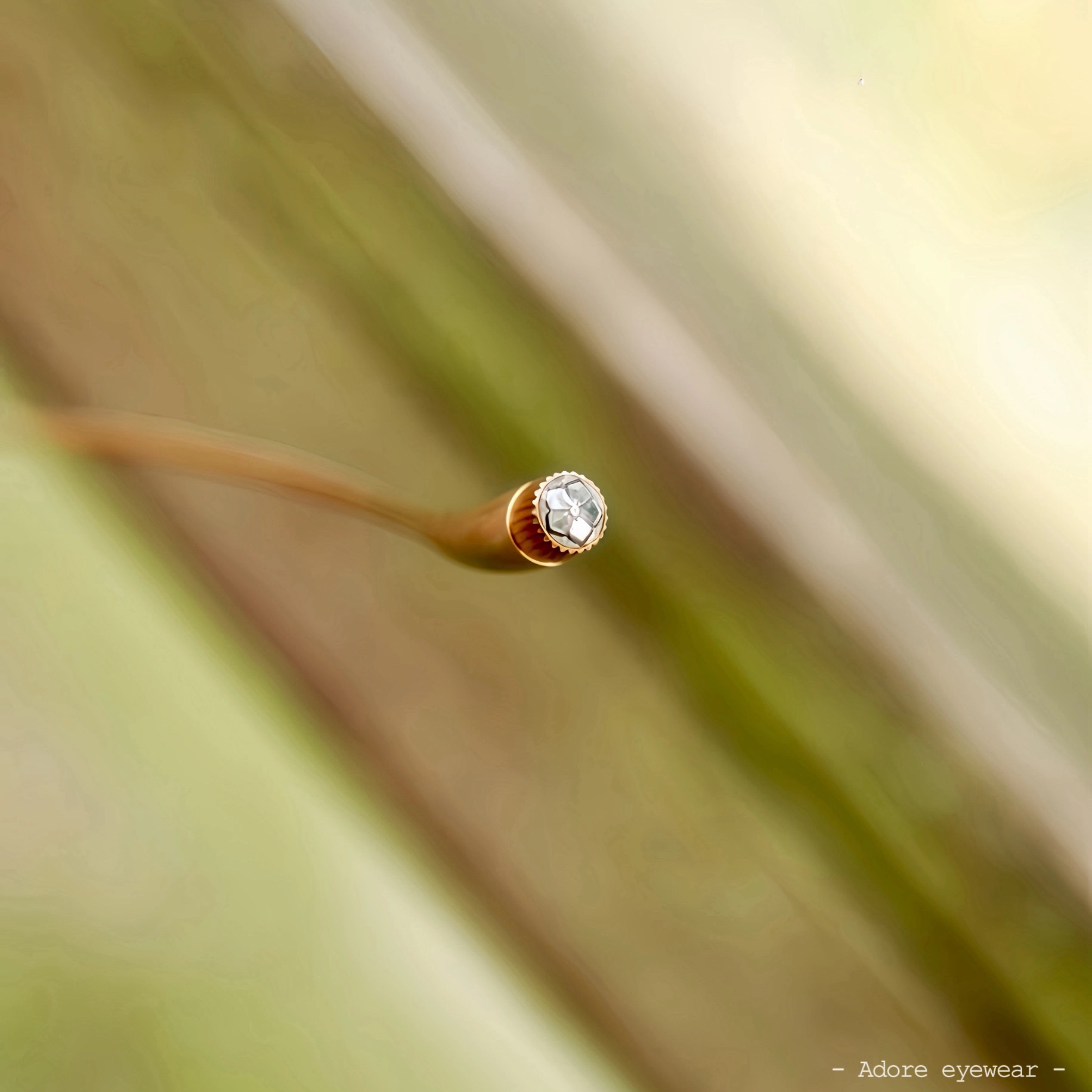 MASUNAGA 日本增永眼鏡 CLEMATIS